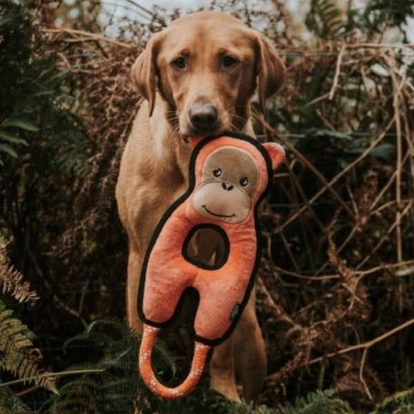 Tough tugging dog toy.