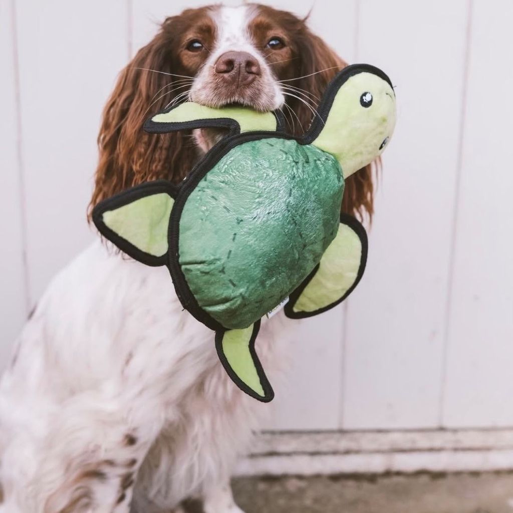 Recycled Dog Toy 