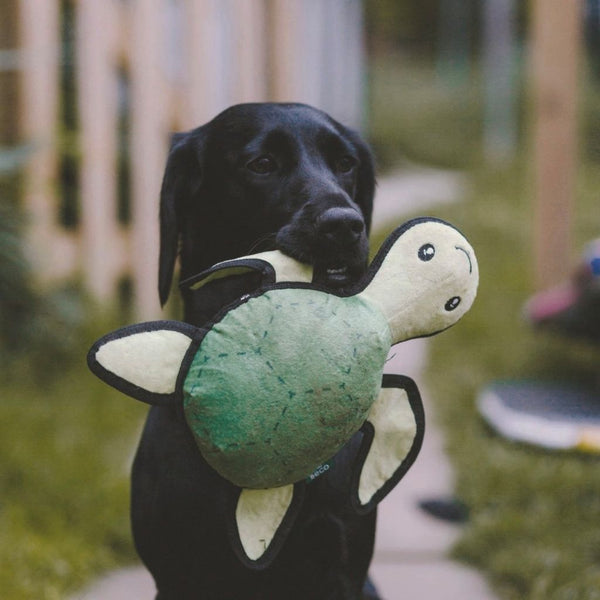 Turtle Dog Toy made from recycled materials.