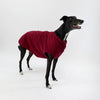 A Greyhound wearing a Snoot Style Fleece Dog Coat.