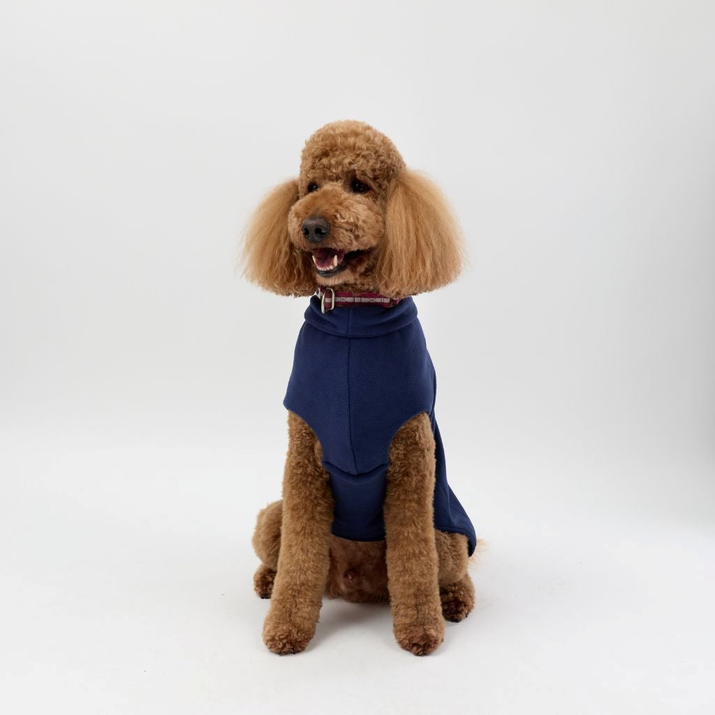 A Standard Poodle wearing a Snoot Style Fleece Dog Coat.