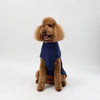 A Standard Poodle wearing a Snoot Style Fleece Dog Coat.