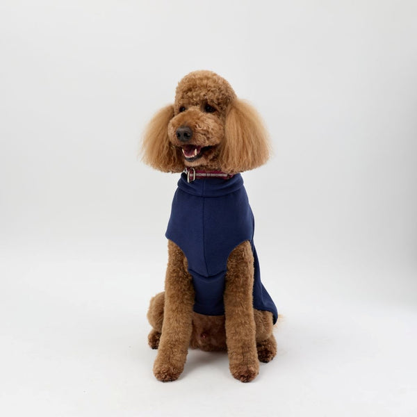 A Standard Poodle wearing a Snoot Style Fleece Dog Coat.