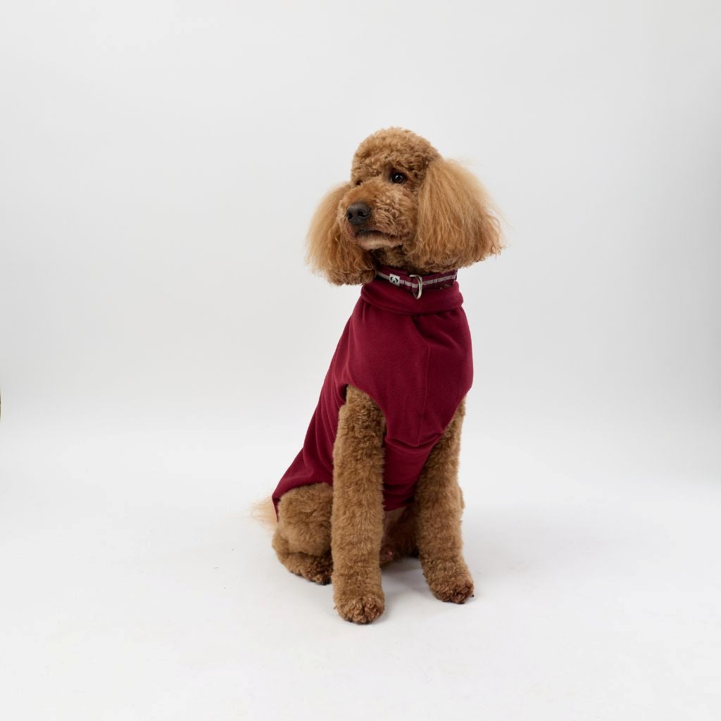 A Standard Poodle wearing a Snoot Style Fleece Dog Coat.