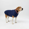 A Medium Dog wearing a Snoot Style Fleece Dog Coat.