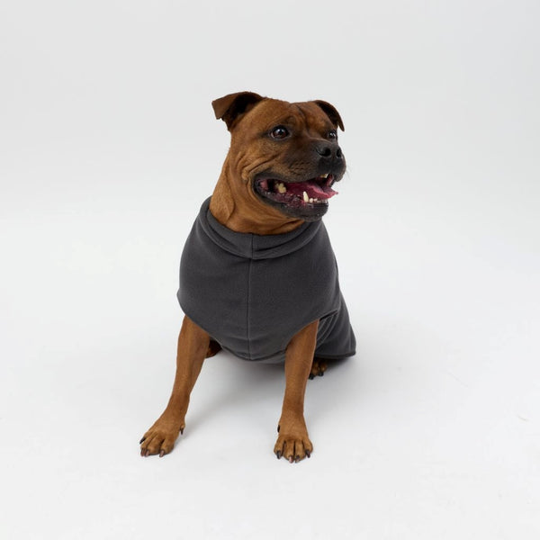 A Staffy wearing a Snoot Style Fleece Dog Coat.