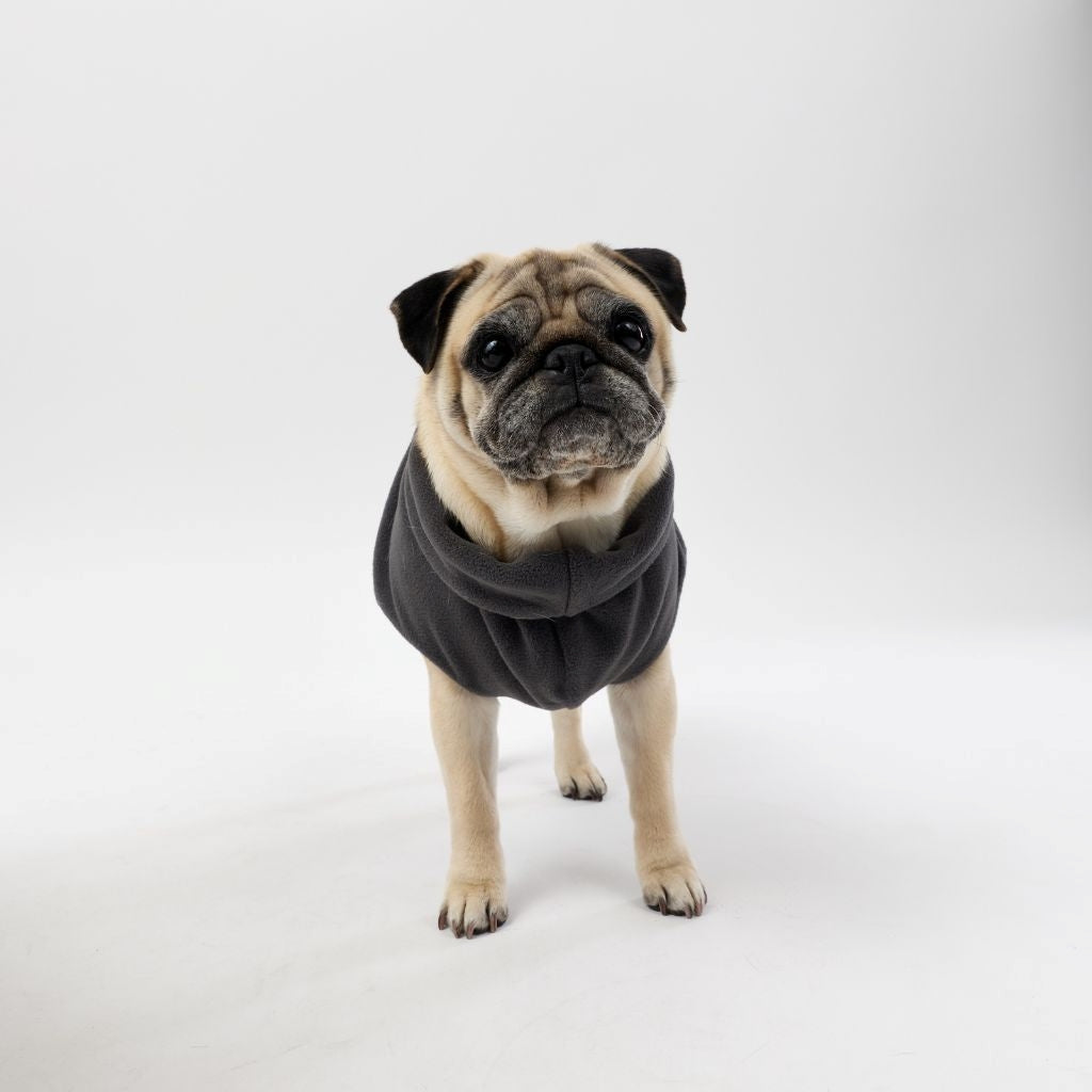 A pug wearing a Snoot Style fleece dog coat.