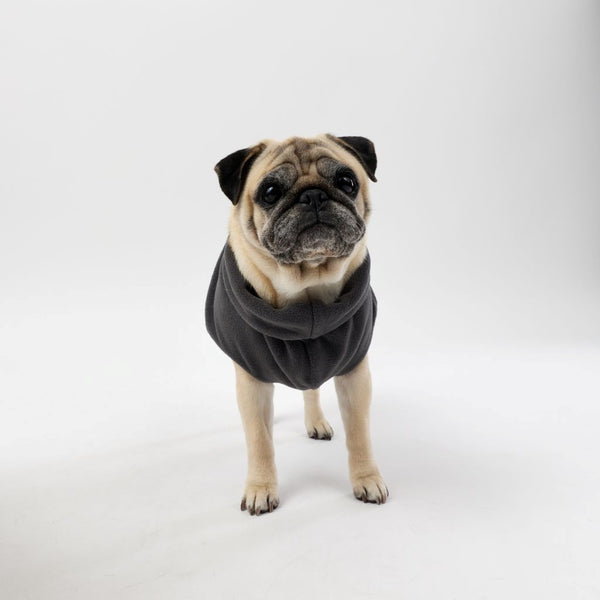 A pug wearing a Snoot Style fleece dog coat.