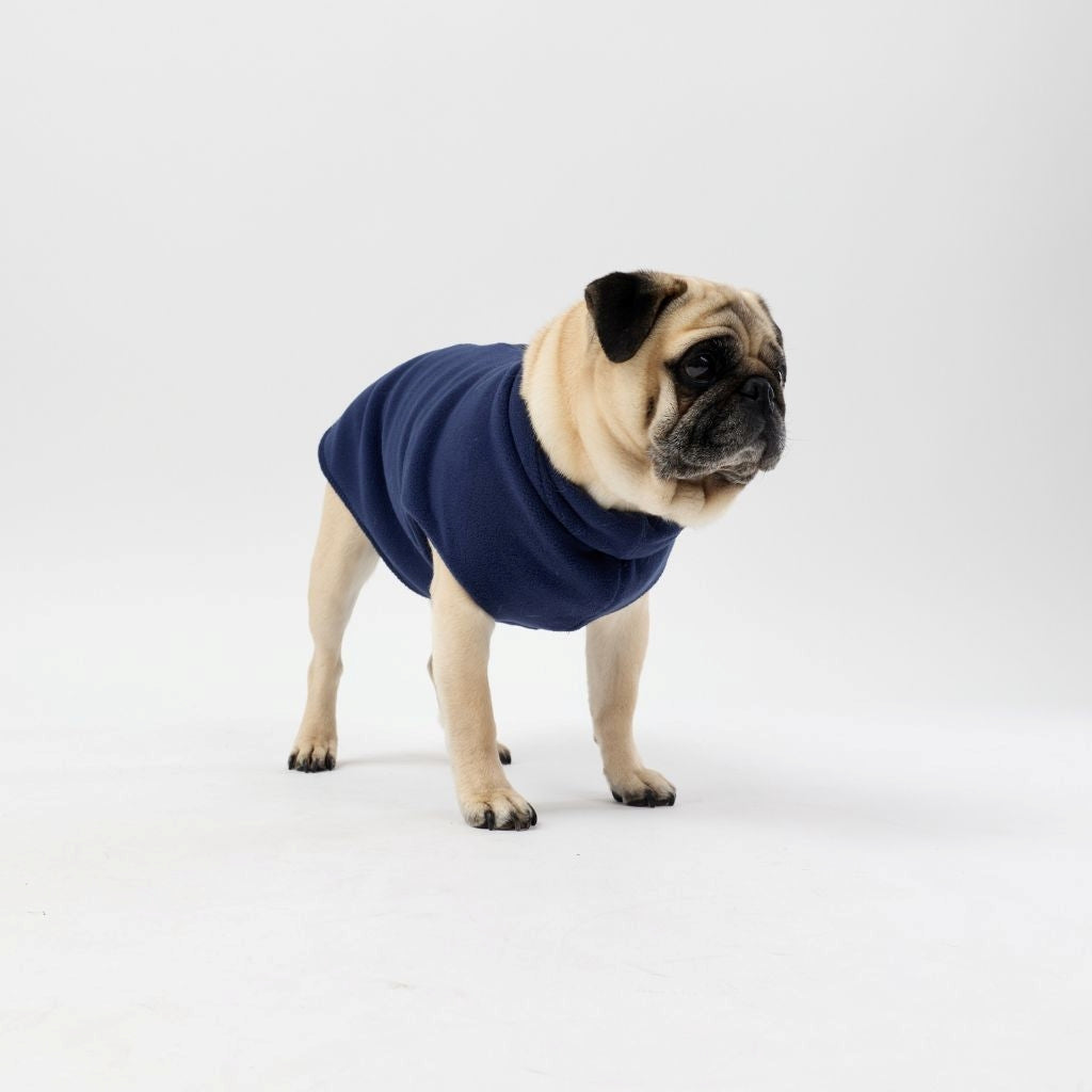 A Pug wearing a Snoot Style Fleece Dog Coat.