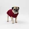 A Pug wearing a Snoot Style Fleece Dog Coat.