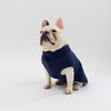 A French Bulldog wearing a Snoot Style Fleece Dog Coat.