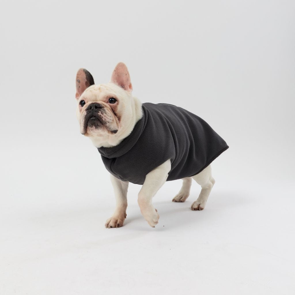 A French Bulldog wearing a Snoot Style Fleece Dog Coat.