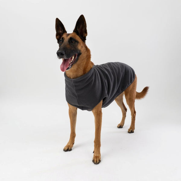 An extra large dog wearing a Snoot Style Fleece Dog Coat.