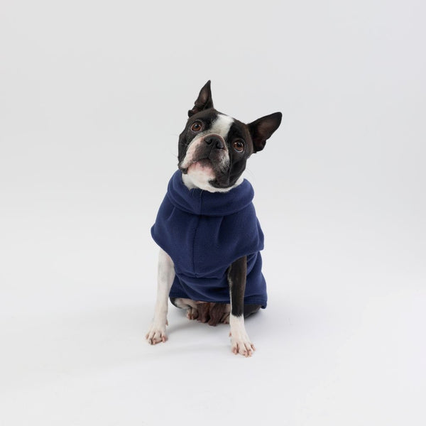 A Small Dog wearing a Snoot Style Fleece Dog Coat.