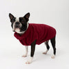A Small Dog wearing a Snoot Style Fleece Dog Coat.