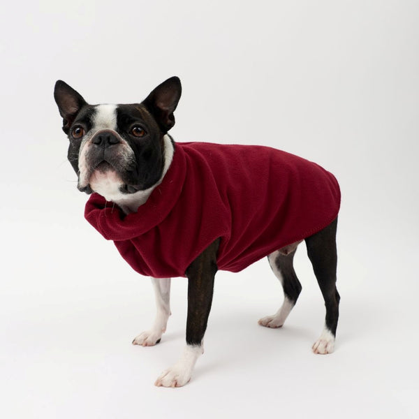 A Small Dog wearing a Snoot Style Fleece Dog Coat.
