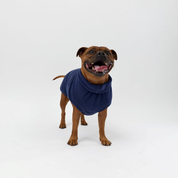 A Staffy wearing a Snoot Style Fleece Dog Coat.