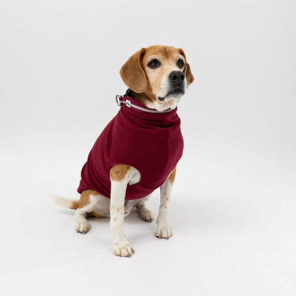 A Medium Dog wearing a Snoot Style Fleece Dog Coat.
