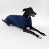 A Greyhound wearing a Snoot Style Fleece Dog Coat.