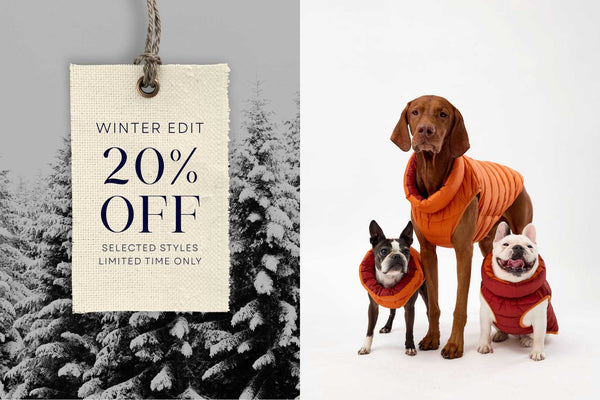 Snoot Style Dog Coats 20% off
