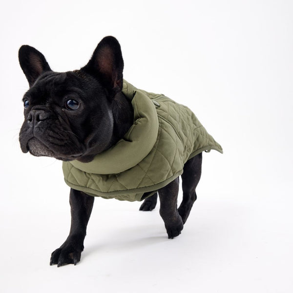 Winter Dog Coat for Small Dogs Snoot Style