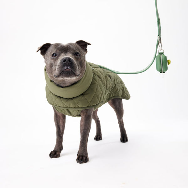 Quilted Winter Dog Jacket Snoot Style