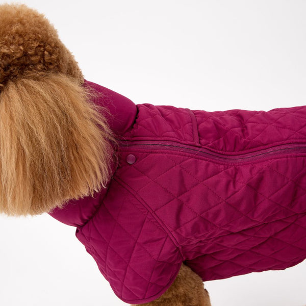 Back Zip Dog Coats Snoot Style