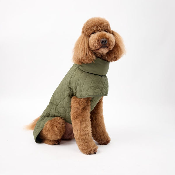 Winter Dog Coat for XL Dogs Snoot Style