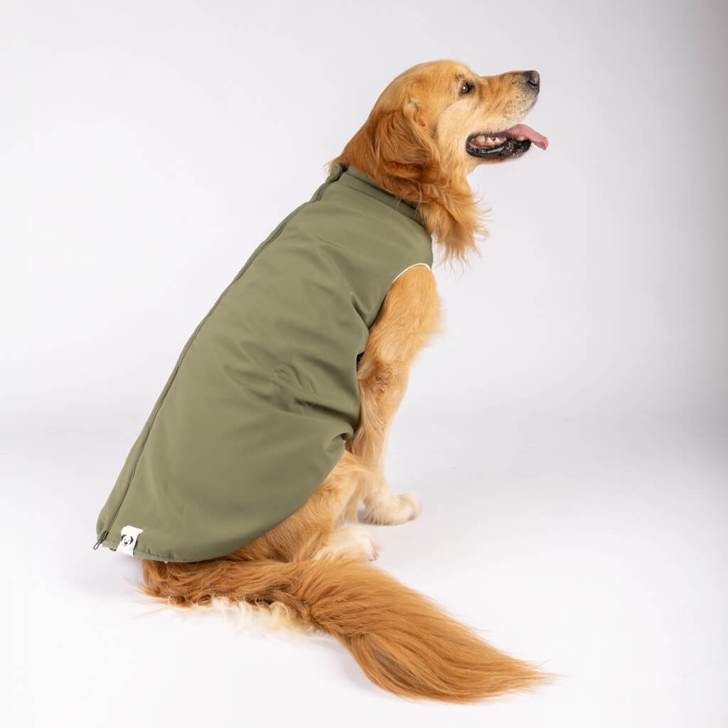 Dog Raincoat for large dogs.