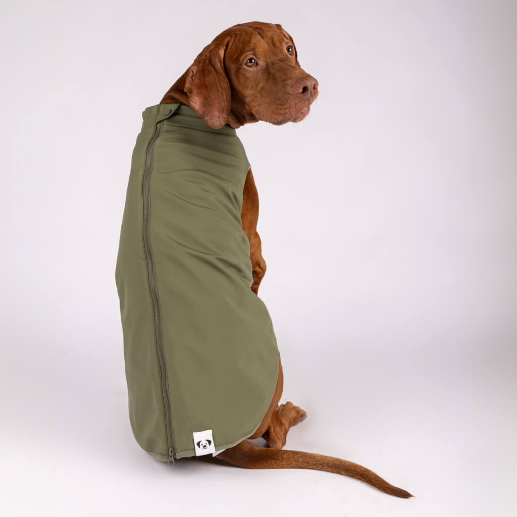 Waterproof Dog Raincoat for large dogs.