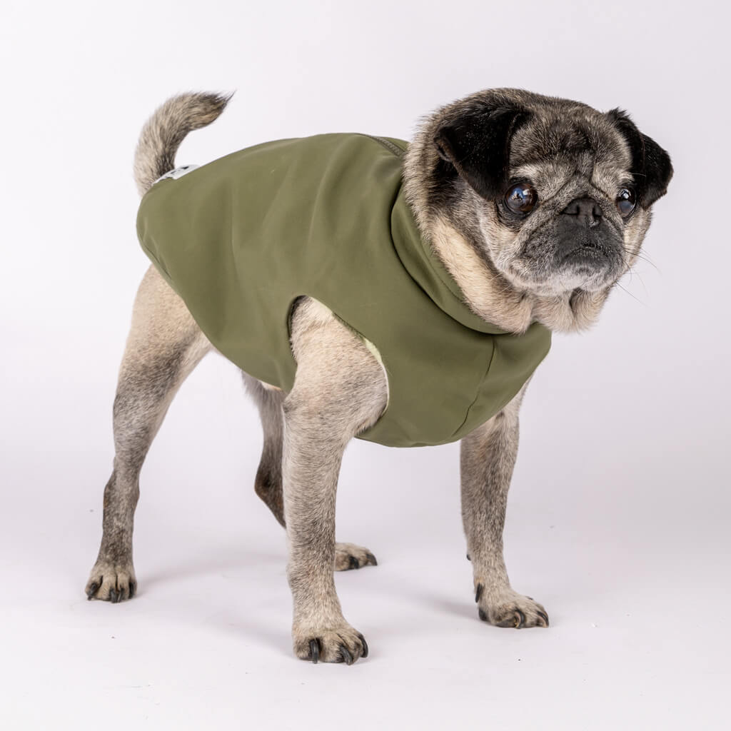 Dog Raincoat for small dogs.