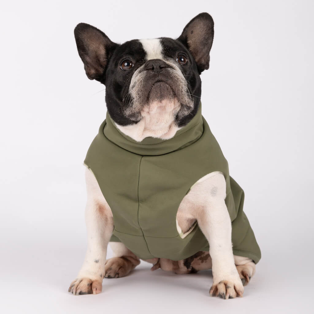 Waterproof dog raincoat for small dogs.