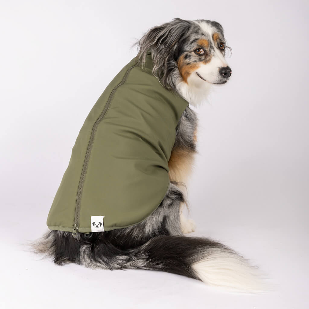 Back Zip Dog Raincoat green.