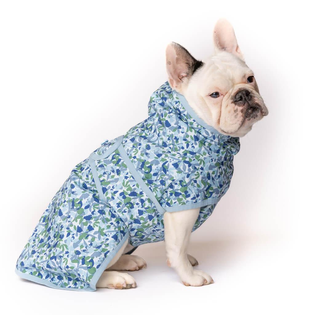 A French Bulldog wearing a Snoot Style Raincoat for Dogs.