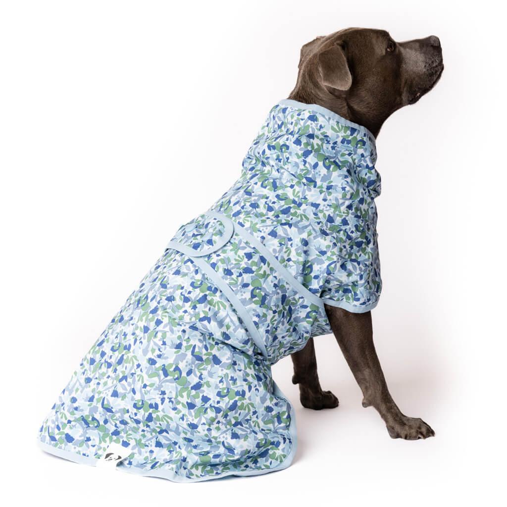 A blue staffy wearing a Snoot Style Dog Raincoat.