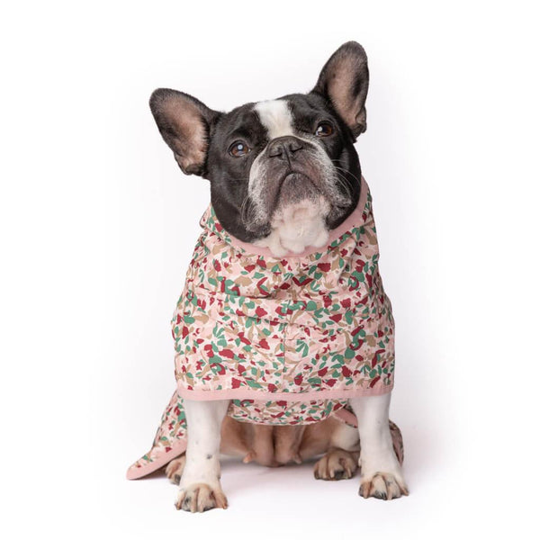 Beat the Elements Dog Raincoat | Pink Ditsy - Snoot Style