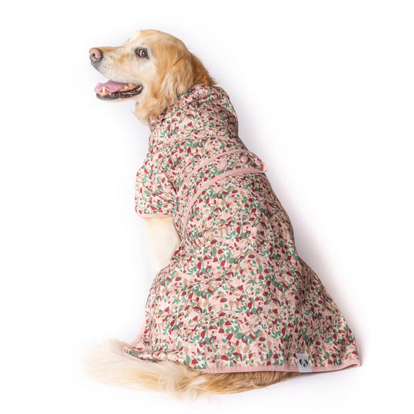 Snoot Style Dog Raincoat.