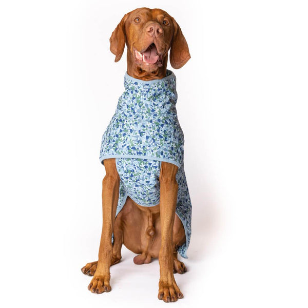 A Vizsla wearing a raincoat for dogs from Snoot Style.