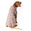 Snoot Style Dog Raincoat.