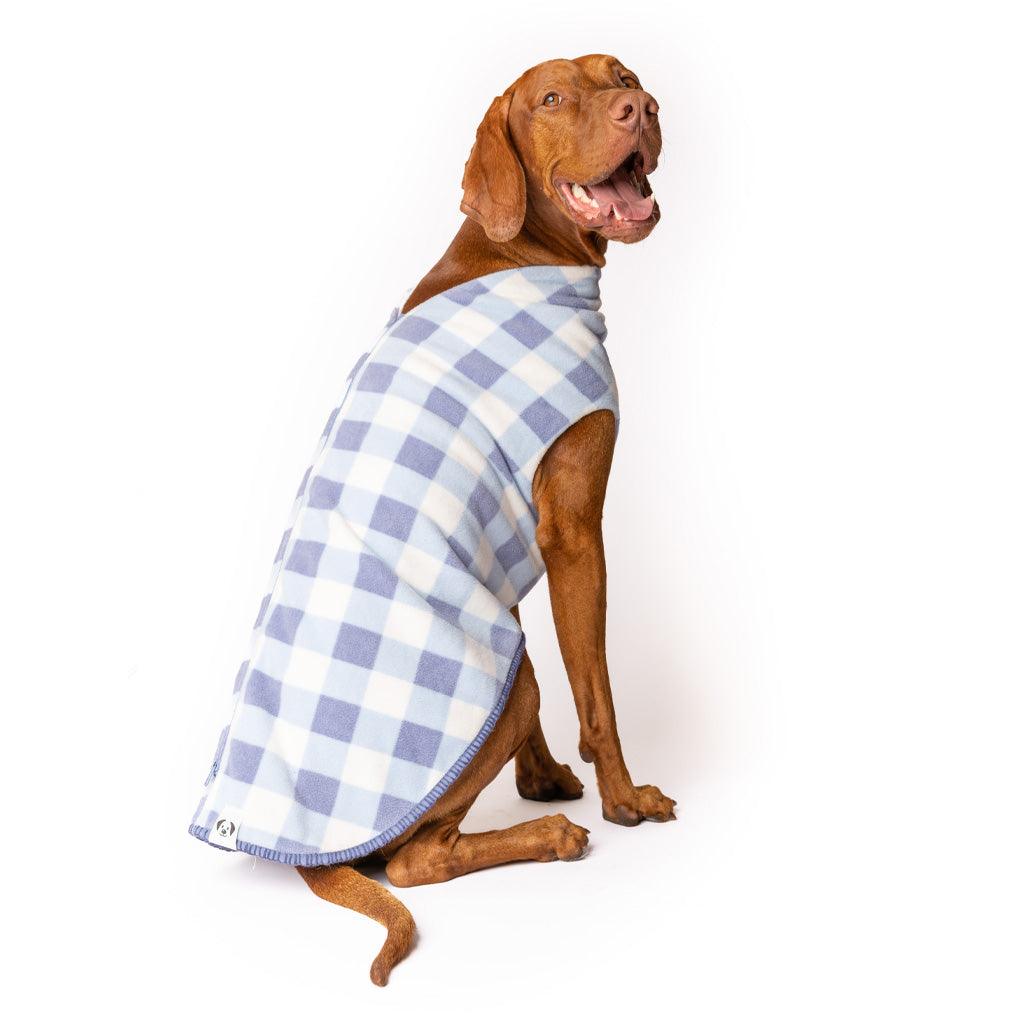 Dog modelling a Snoot Style Fleece Dog Coat.