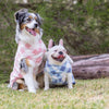 Two dogs smiling at the camera wearing Snoot Style Fleece Dog Coats.