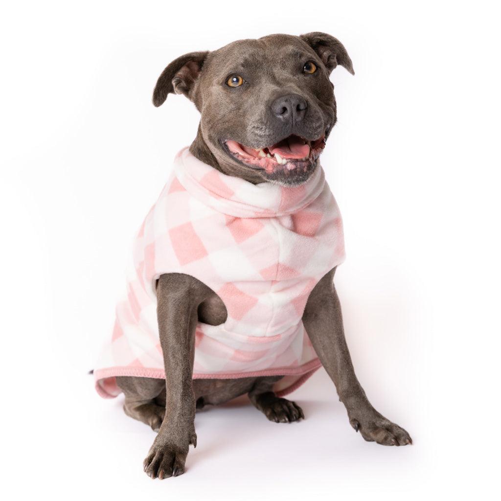 Blue Staffy modelling a pink check Fleece Dog Coat from Snoot Style.