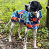 A Pointer Dog wearing a blue printed dog raincoat.