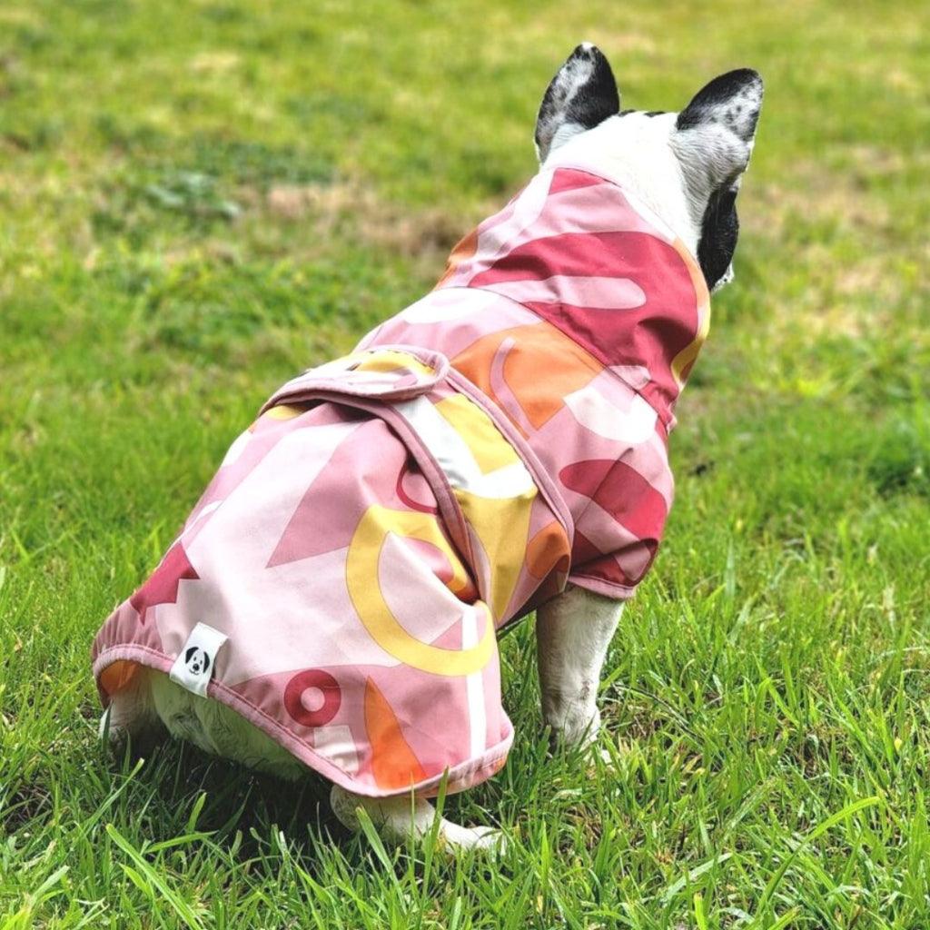 A French Bulldog wearing a pink printed dog raincoat.