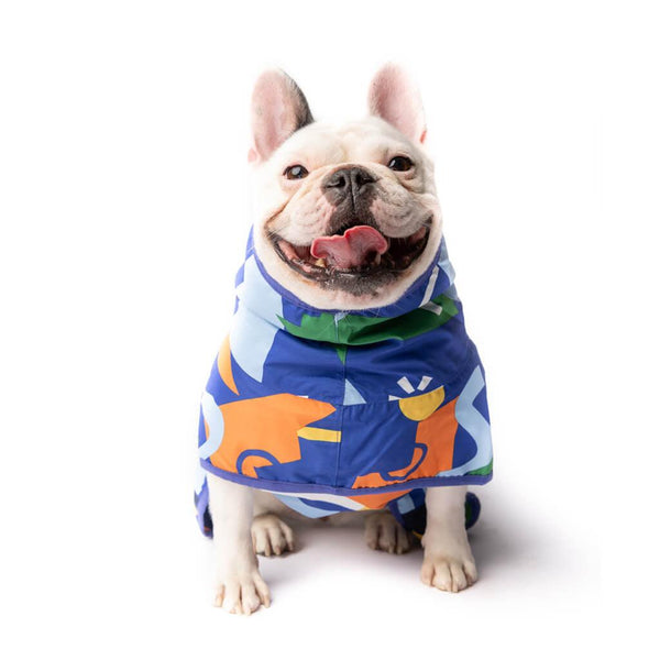 A French Bulldog wearing a blue printed dog raincoat.
