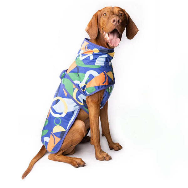 A Vizsla dog wearing a blue printed dog raincoat