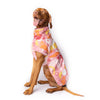 A Vizsla Dog wearing a pink printed dog raincoat.