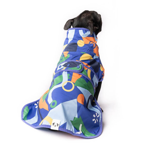 A Staffordshire bull terrier wearing a blue printed dog raincoat.