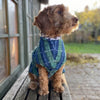A small dog sitting on a bench wearing a green and blue check fleece dog coat