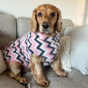A Cocker Spaniel is sitting on a couch wearing a pink stripe fleece dog coat.